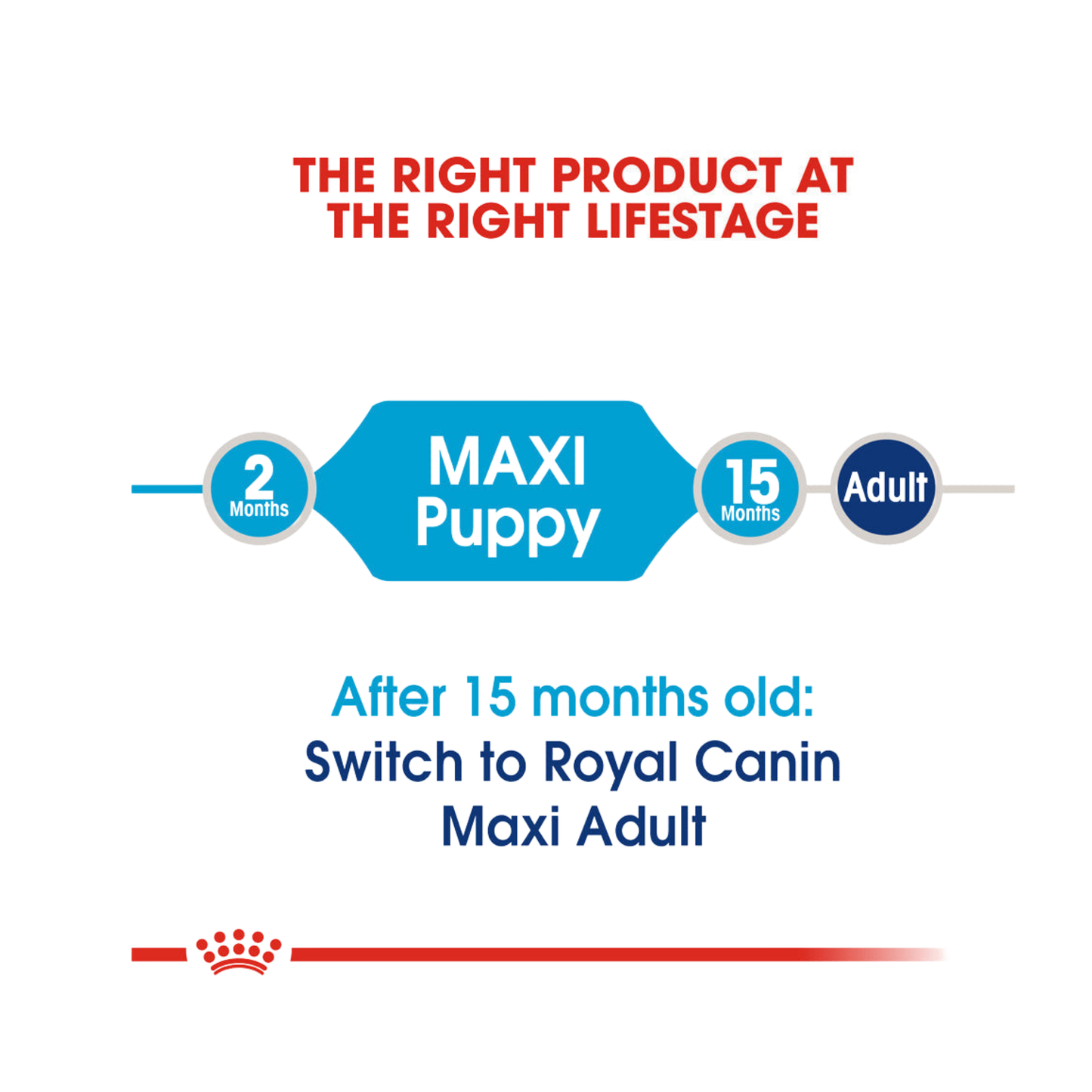 Royal Canin Size Health Nutrition Puppy Maxi Dry Dog Food 4kg