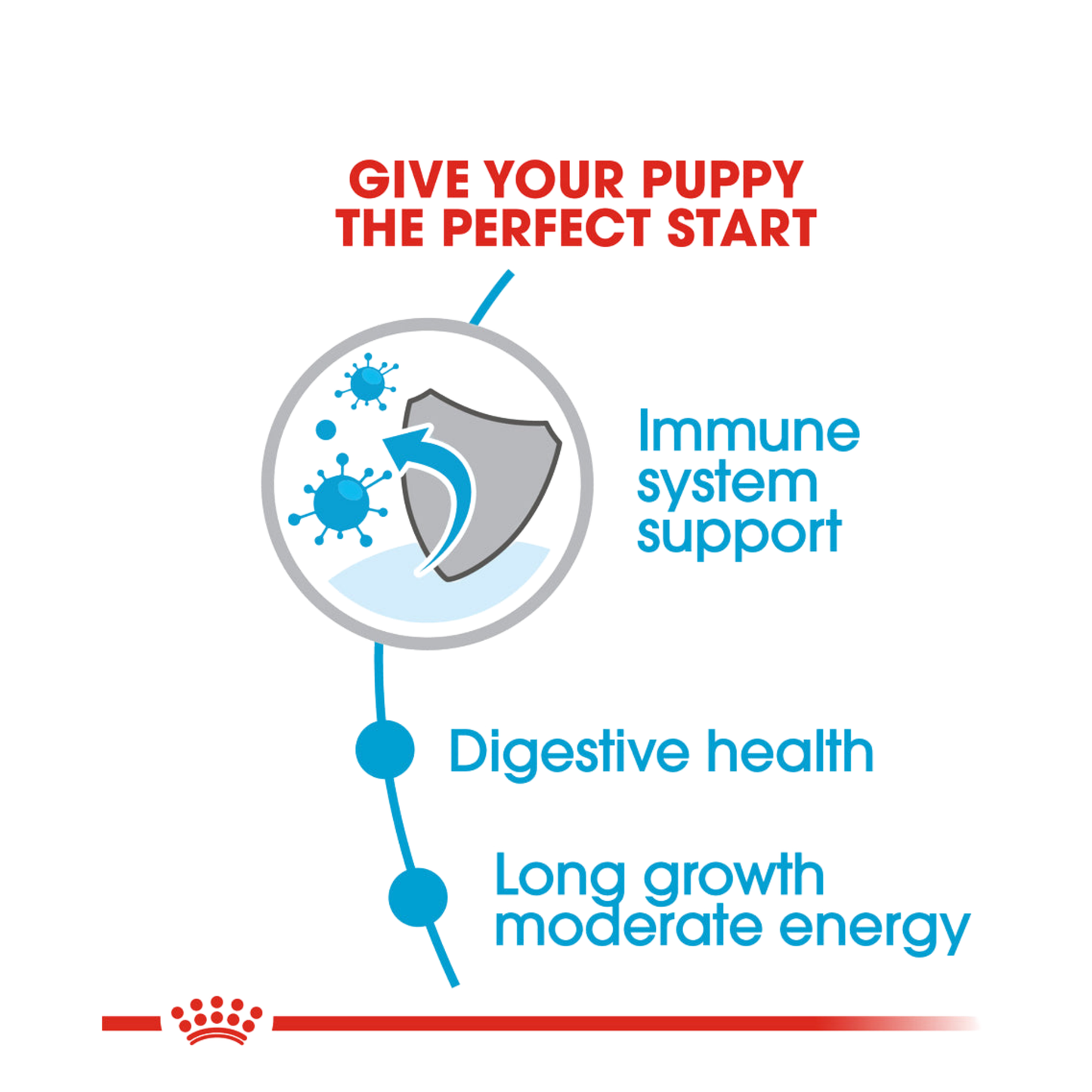Royal Canin Size Health Nutrition Puppy Maxi Dry Dog Food 4kg