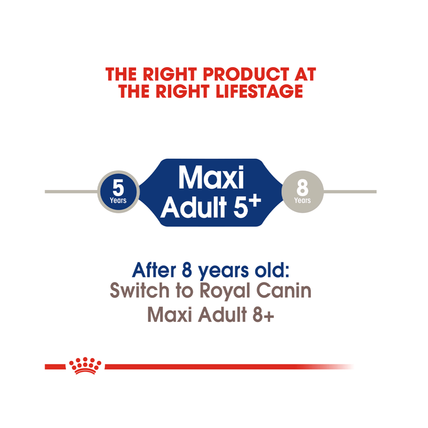 Royal Canin Size Health Nutrition Senior Maxi 5+ Dry Dog Food 4kg