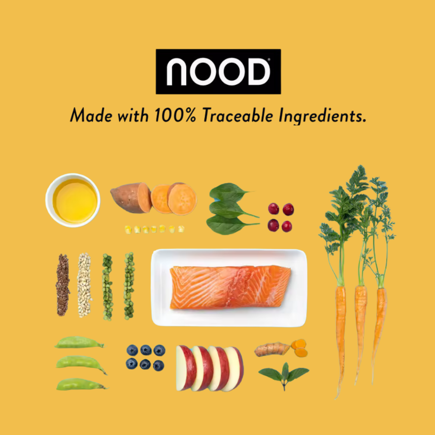 NOOD Cat Dry Food Sustainably-Sourced Salmon Recipe 3kg