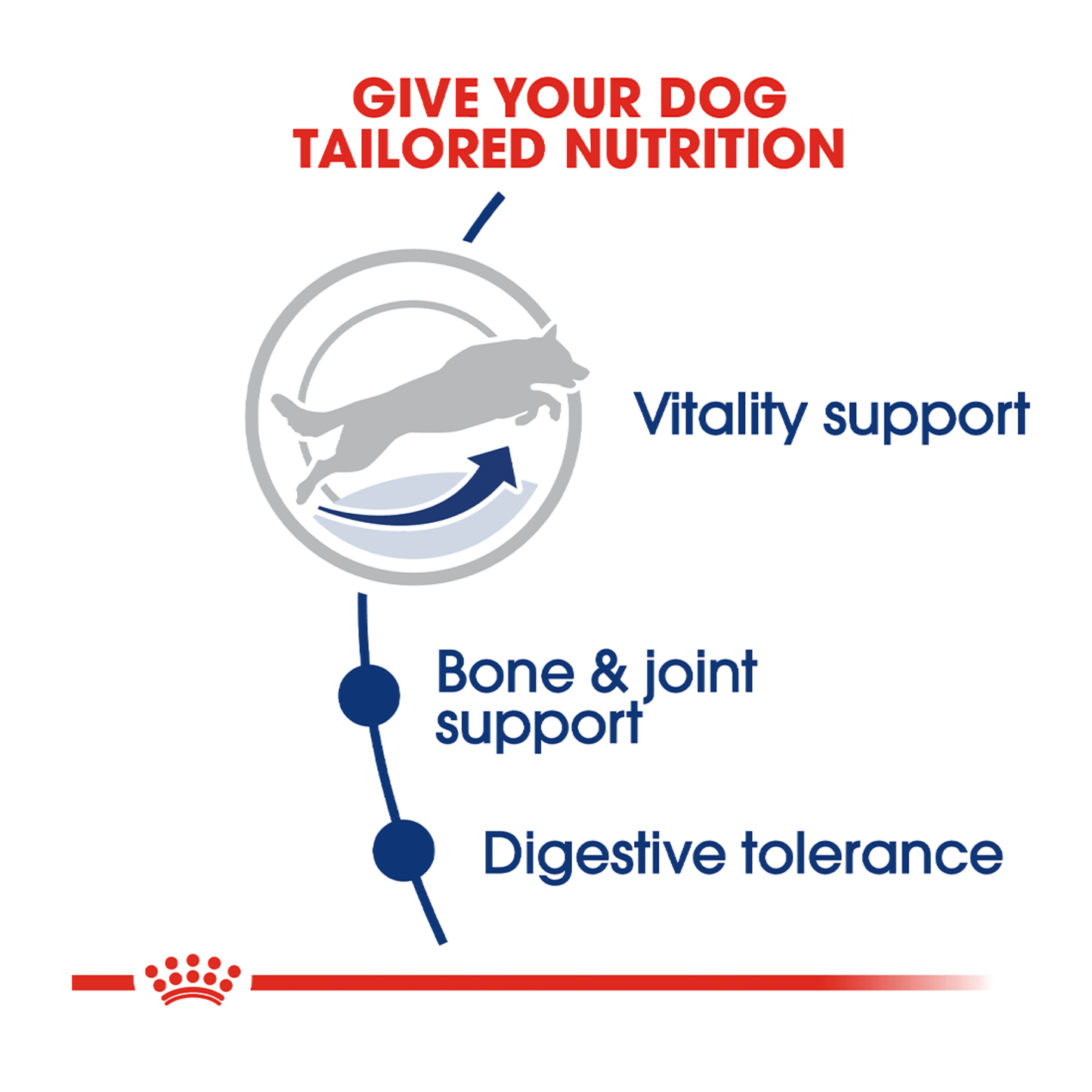 Royal Canin Size Health Nutrition Senior Maxi 5+ Dry Dog Food 4kg