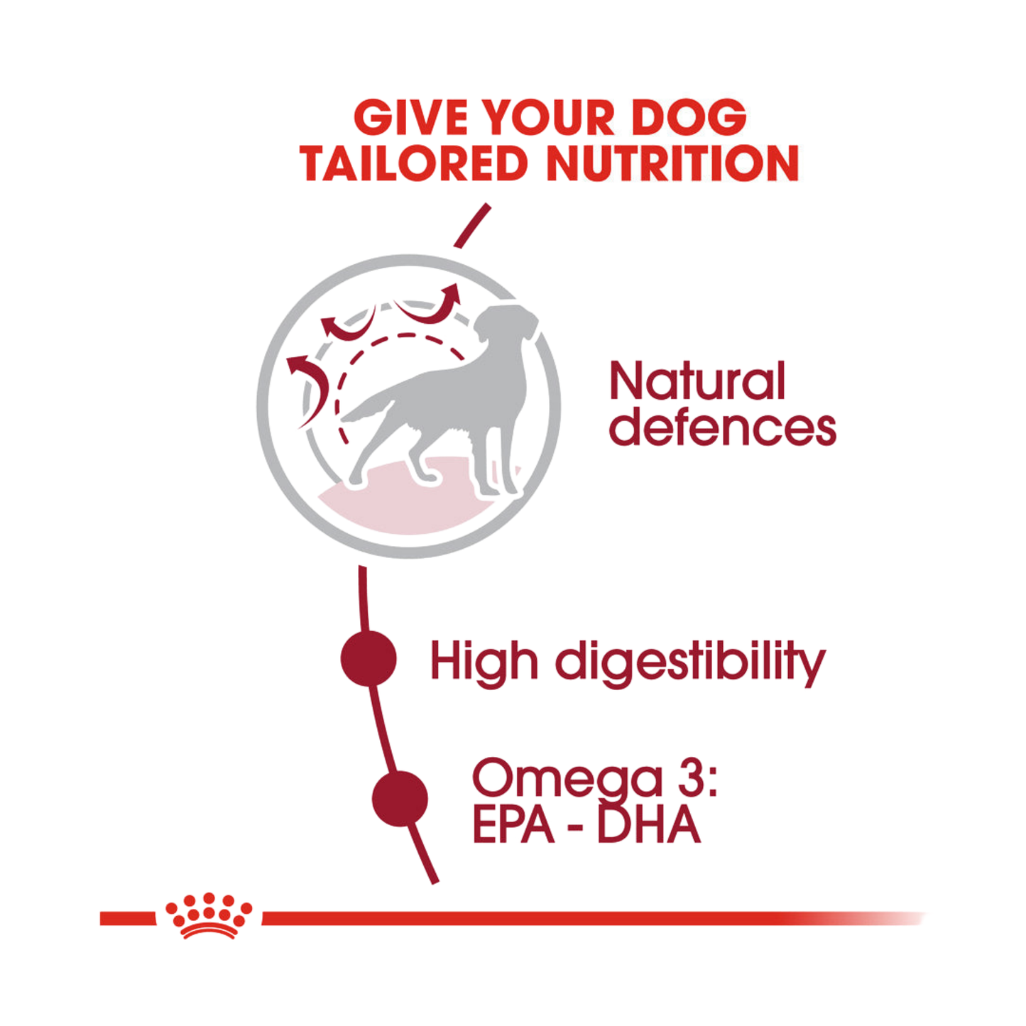Royal Canin Size Health Nutrition Adult Medium Dry Dog Food 4kg