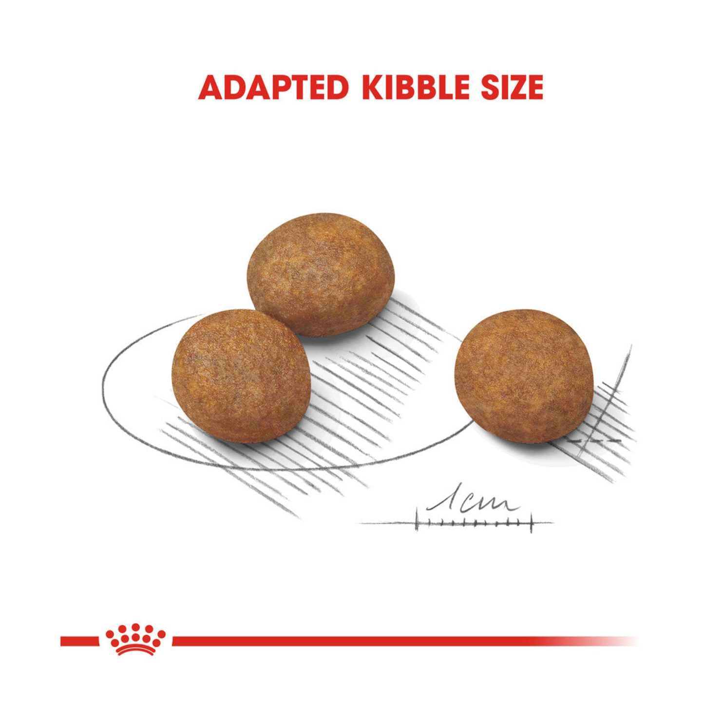 Royal Canin Size Health Nutrition Puppy Maxi Dry Dog Food 4kg